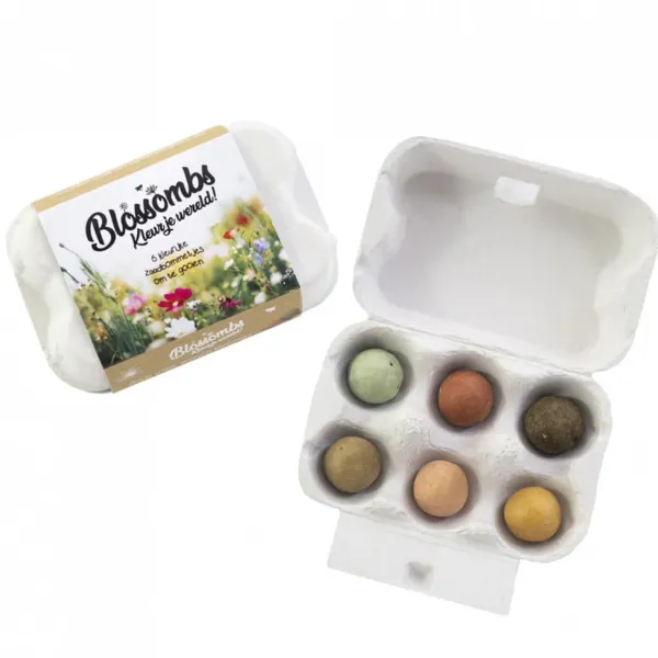 boite_a_oeufs__bombes_a_g_SKU3e6c94359cc6f1c040668165e884b4a5_0.webp Boite A Oeufs 6 Bombes A Graines-Sélectionné par Fleux Online
