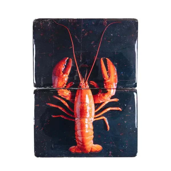 dcoration_murale_homard_r_SKU4e778f3283f8454c051f726d4737f786_0.webp Décoration Murale Homard Rouge / Fond Noir - 29 X 40 Cm-Stigerwoods New