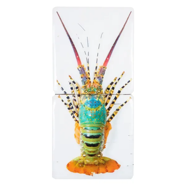 dcoration_murale_jual_hom_SKU713247795fa096608b79b0c0e81493c1_0.webp Décoration Murale Jual Homard Laut 2 - 20 X 40 Cm-Stigerwoods Clearance