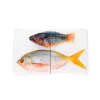Décoration Murale Poisson Perroquet Et Fusilier Sur Fond Blanc - 40 Cm X 24 Cm-Stigerwoods Best