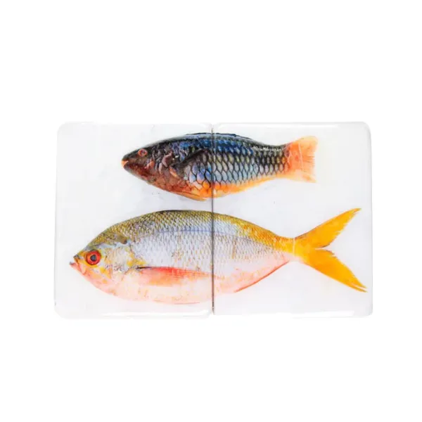 dcoration_murale_poisson__SKU1b441fc2ffb0f5ebf414abbe53bcad04_0.webp Décoration Murale Poisson Perroquet Et Fusilier Sur Fond Blanc - 40 Cm X 24 Cm-Stigerwoods Best