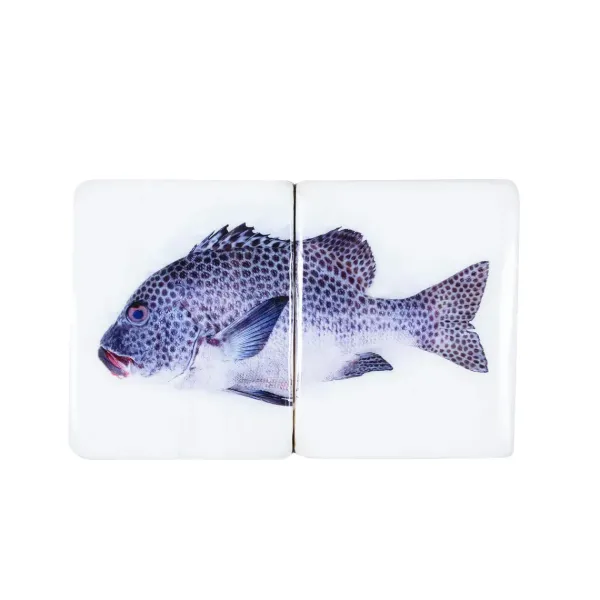 dcoration_murale_poisson__SKUc460ea706cbdd92adbcdad6799c66419_0.webp Décoration Murale Poisson Arlequin Sur Fond Blanc - 40 Cm X 20 Cm-Stigerwoods