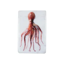 Décoration Murale Poulpe Portugais Rouge Sur Fond Blanc - 20 X 29 Cm-Stigerwoods Best