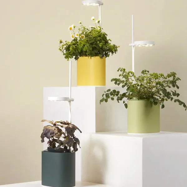 jardin_dinterieur_connect_SKU43e64cb88cf1bf7bfa8febccfcdc0acb_3.webp Jardin D'Interieur Connecte Nano Garden - Vert Foret-Prêt à pousser Outlet