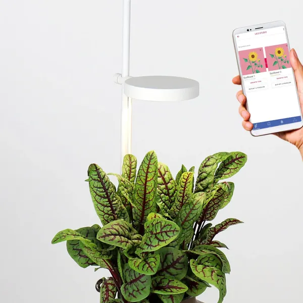 jardin_dinterieur_connect_SKU43e64cb88cf1bf7bfa8febccfcdc0acb_4.webp Jardin D'Interieur Connecte Nano Garden - Vert Foret-Prêt à pousser Outlet