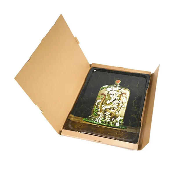 plateau_rectangle_dinoclo_SKUbc653bd41771e0f2061d7997b97000da_1.webp Plateau Rectangle Dinocloche En Bouleau - 61 X 46 Cm-Gangzai Online
