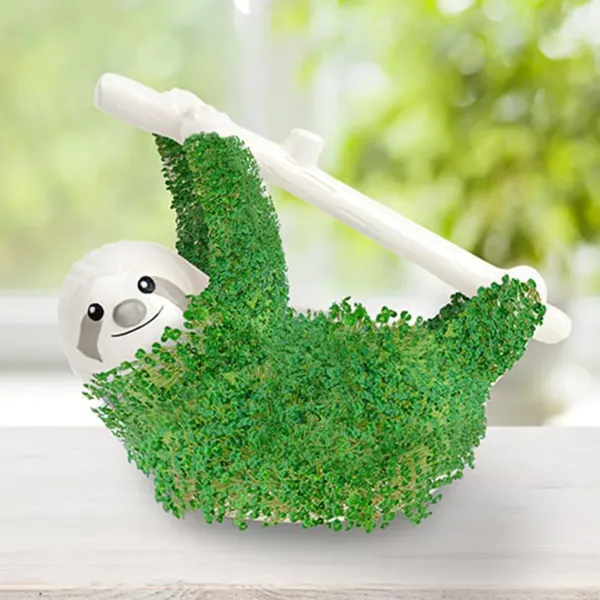 pot__jardiniere_chia__par_SKUeca71c3691b845f5d6b43816cc544a4d_2.webp Pot / Jardiniere Chia - Paresseux-Sélectionné par Fleux Sale