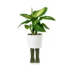 Pot / Jardiniere Wellington Petit - Vert-Sélectionné par Fleux Discount