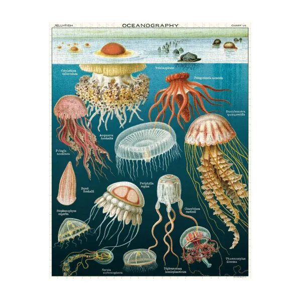 puzzle_meduses___pieces_SKU0846da1652e27ceeb217a3966f729290_1.webp Puzzle Meduses - 1000 Pieces-Sélectionné par Fleux Clearance