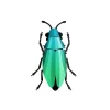 Trophee Origami Coleoptere Vert Cariben Metallique-Assembli Hot