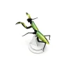 Trophee Origami Mante Religieuse - Vert Mango Metallique-Assembli Sale