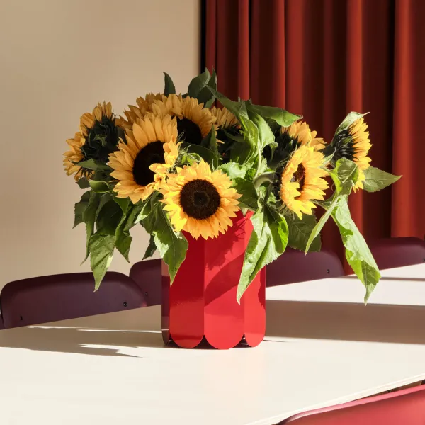 vase_arcs_en_acier_SKU03367fd7e1507246175c5ee5edfee02f_1.webp Vase Arcs En Acier-Hay Best