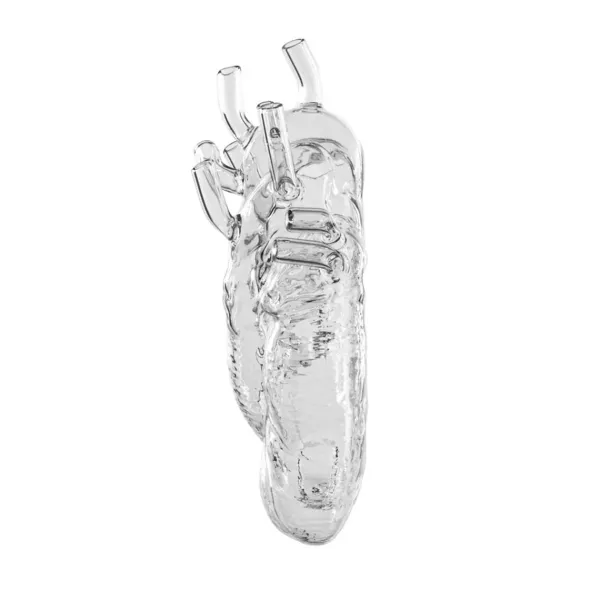 vase_coeur_love_in_bloom__SKUc23c71cb04921f29f235b5400c904bac_2.webp Vase Coeur Love In Bloom Verre-Seletti Hot