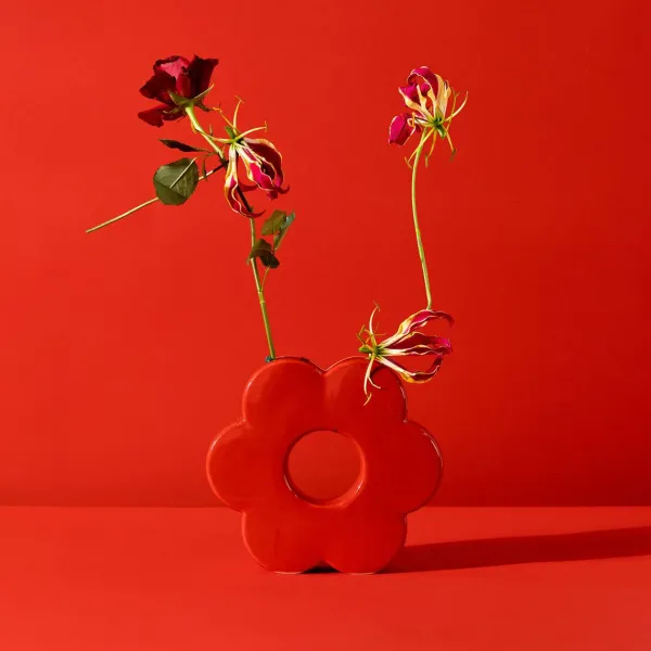 vase_daisy_SKU8bf0cdf976ff0e14657c82f1eda1f075_3.webp Vase Daisy-DOIY Clearance