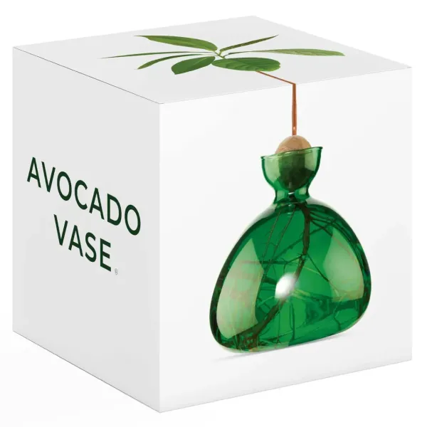 vase_en_verre_pour_avocat_SKU51bd7953362b4d0d8e84e9a790cb4d91_3.webp Vase En Verre Pour Avocat-Ilex Studio New