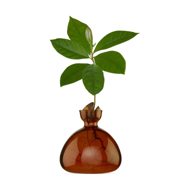 vase_en_verre_pour_avocat_SKU51bd7953362b4d0d8e84e9a790cb4d91_4.webp Vase En Verre Pour Avocat-Ilex Studio New