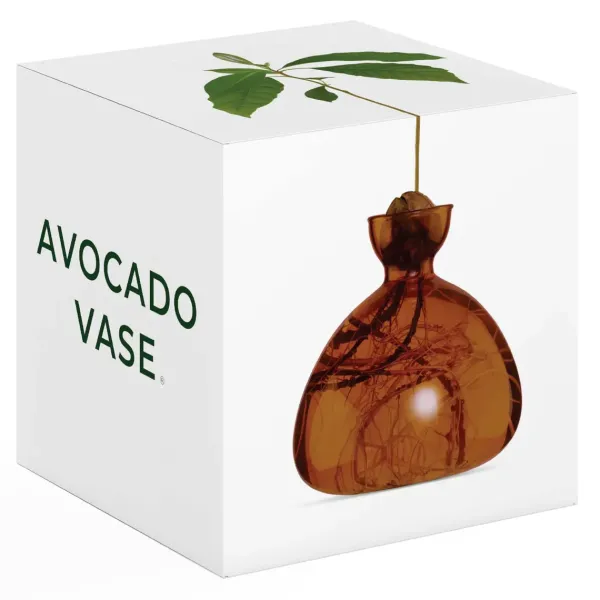 vase_en_verre_pour_avocat_SKU51bd7953362b4d0d8e84e9a790cb4d91_5.webp Vase En Verre Pour Avocat-Ilex Studio New